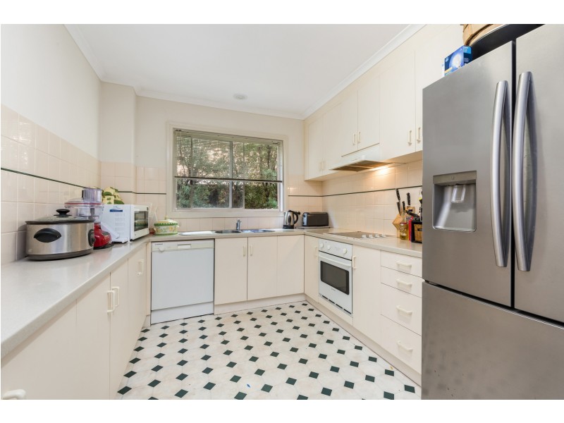 17 Foam Court, Torquay VIC 3228