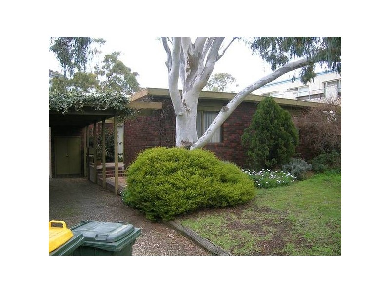 37 COWRIE ROAD, Torquay VIC 3228