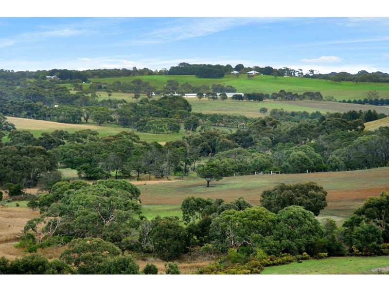 74 ALLEYNE AVENUE, Torquay VIC 3228