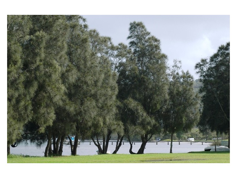 16a Lenora Ave, Davistown NSW 2251