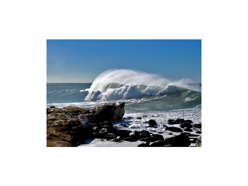 8/9 Ficus Ave, Avoca Beach NSW 2251