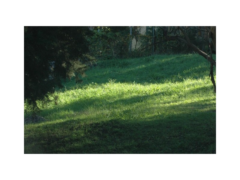 7 Brisbania Close, Saratoga NSW 2251