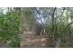 Saratoga NSW 2251