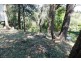 3 Shaw St, Saratoga NSW 2251
