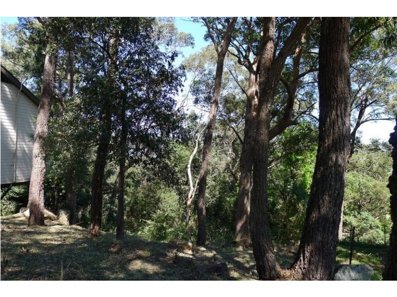 3 Shaw St, Saratoga NSW 2251