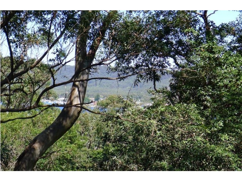 3 Shaw St, Saratoga NSW 2251