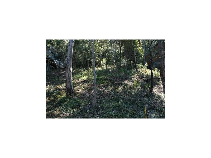 59 Broadwater Dr, Saratoga NSW 2251