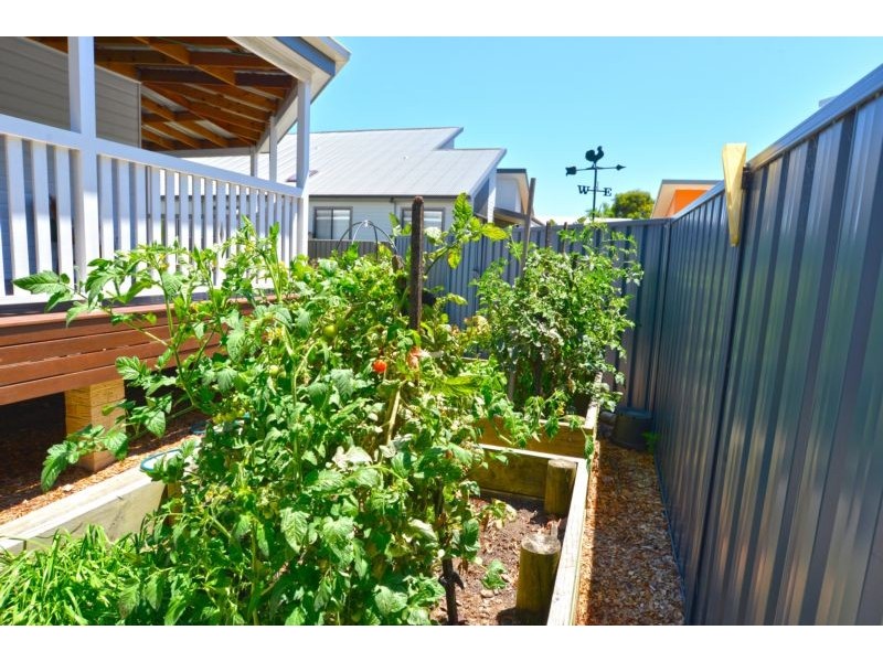 17 Magnolia Ave, Davistown NSW 2251