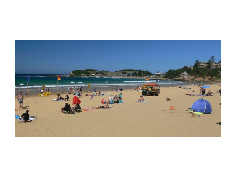 34 Sheffield Drive, Terrigal NSW 2260