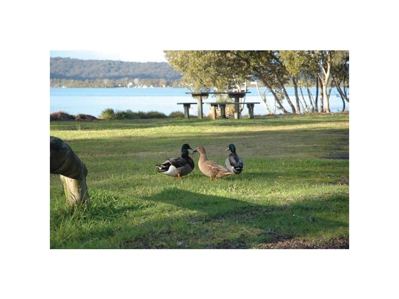 Saratoga NSW 2251