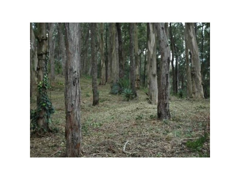 Saratoga NSW 2251