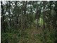 Saratoga NSW 2251