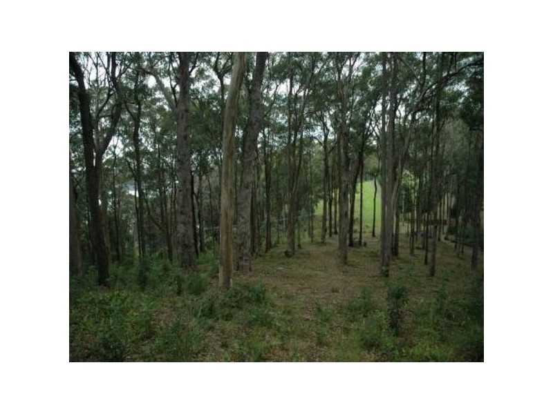 Saratoga NSW 2251