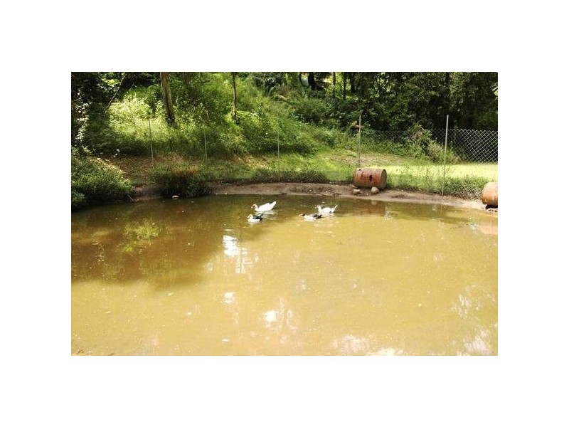 Green Point NSW 2251