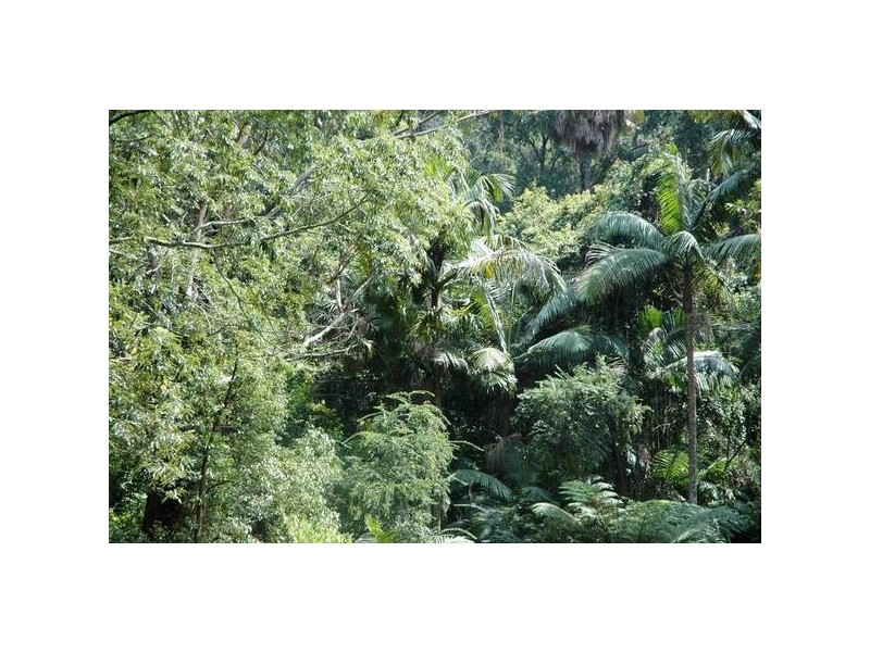 Green Point NSW 2251