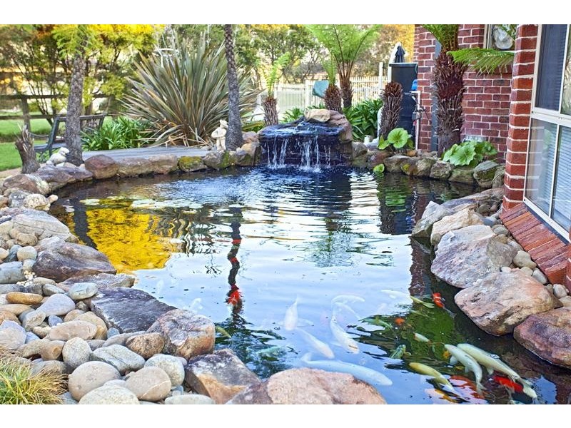 8 Cabernet Circuit, Orchard Hills NSW 2748