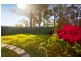 1 Ferntree Close, Glenmore Park NSW 2745