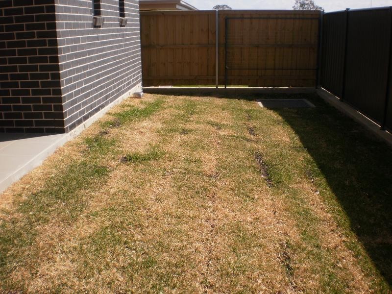 Lot 812, 812 Sunrise Terrace, Glenmore Park NSW 2745