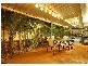 Glenmore Park NSW 2745