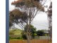 35 Cadogan Avenue, Ventnor VIC 3922