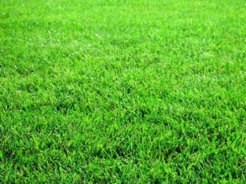 Lot 29 Justice Road Farm, Cowes VIC 3922