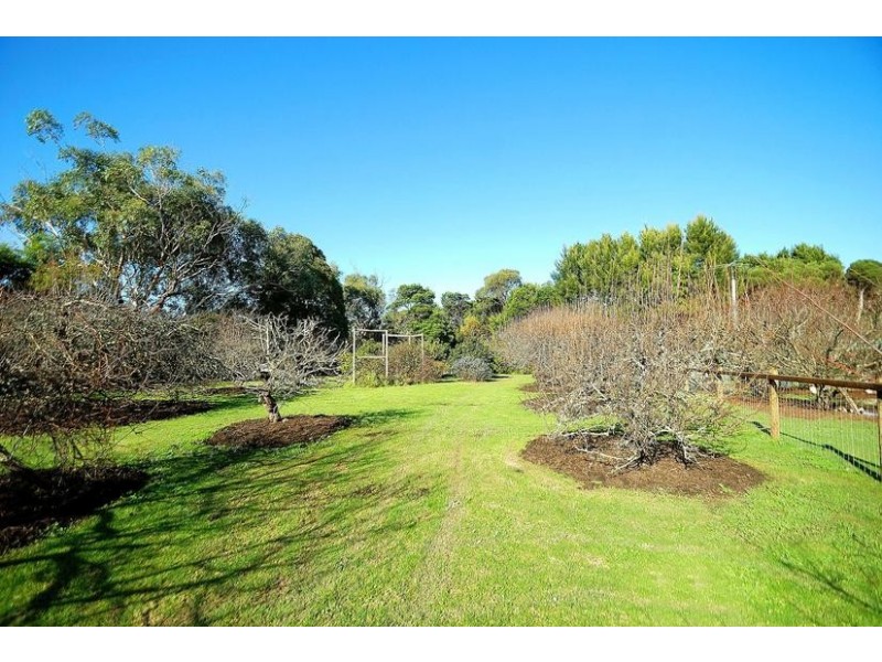 279A Ventnor Road, Ventnor VIC 3922