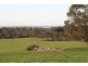 22 Bowman Road, Wimbledon Heights VIC 3922