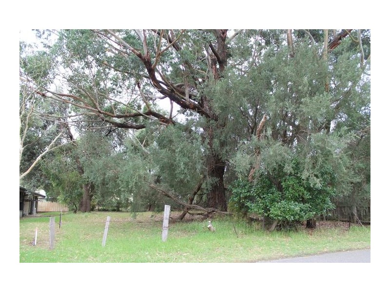 63 Honeysuckle Grove, Silverleaves VIC 3922