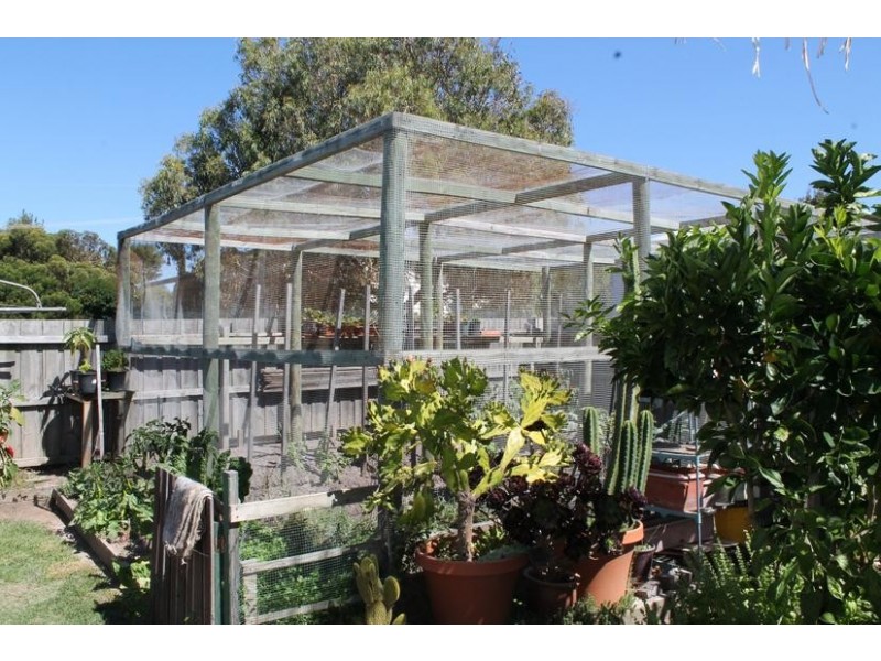 43 Summerhayes Avenue, Cape Woolamai VIC 3925