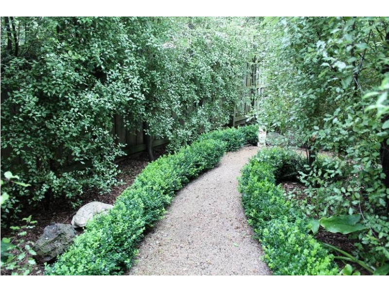 99 Lantana Road, Cape Woolamai VIC 3925