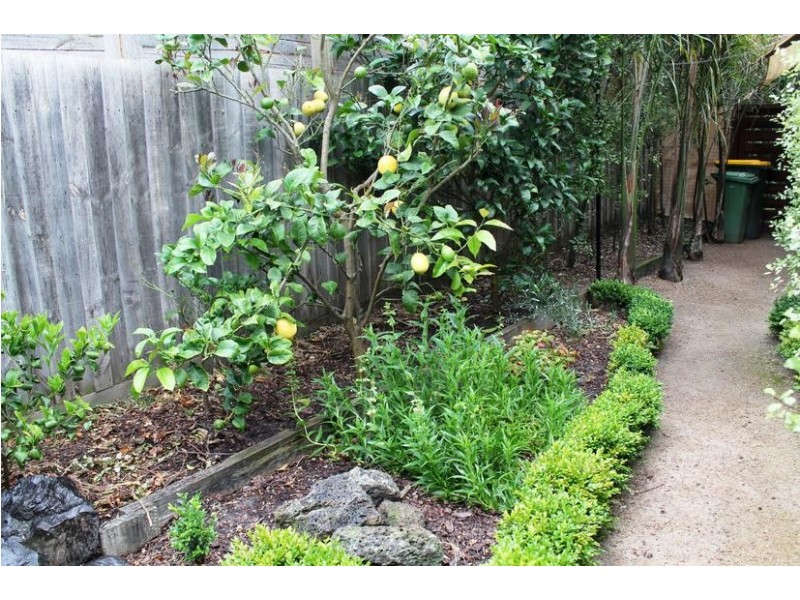 99 Lantana Road, Cape Woolamai VIC 3925