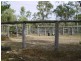 Berajondo QLD 4674