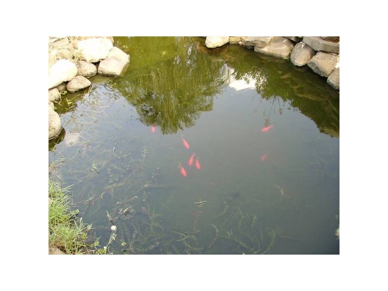 South Kolan QLD 4670