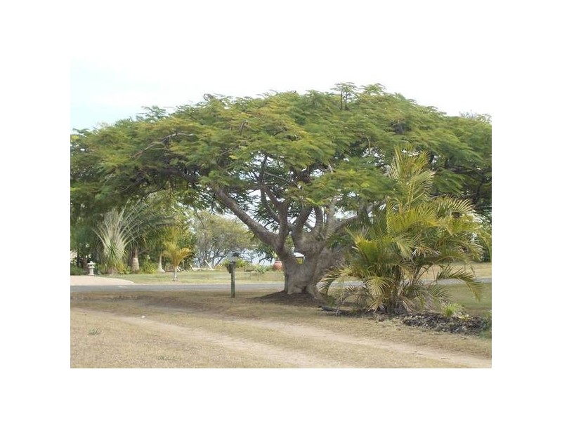 Burnett Heads QLD 4670