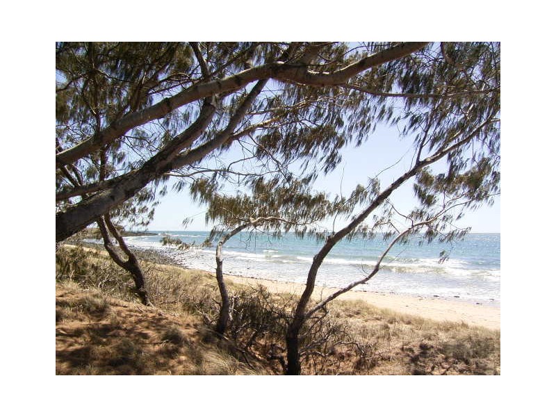 8 Clipper Court, Innes Park QLD 4670