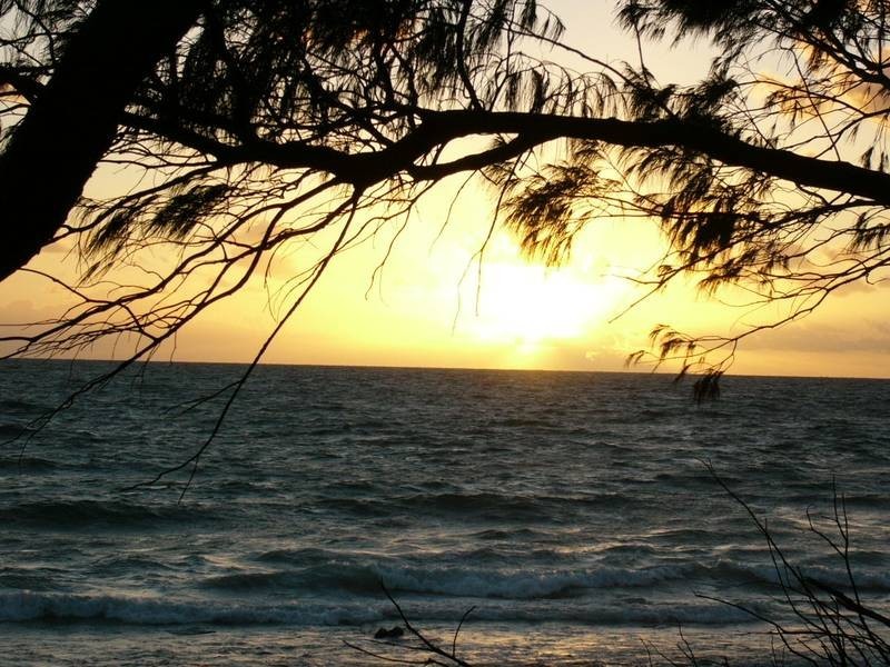 8 Clipper Court, Innes Park QLD 4670