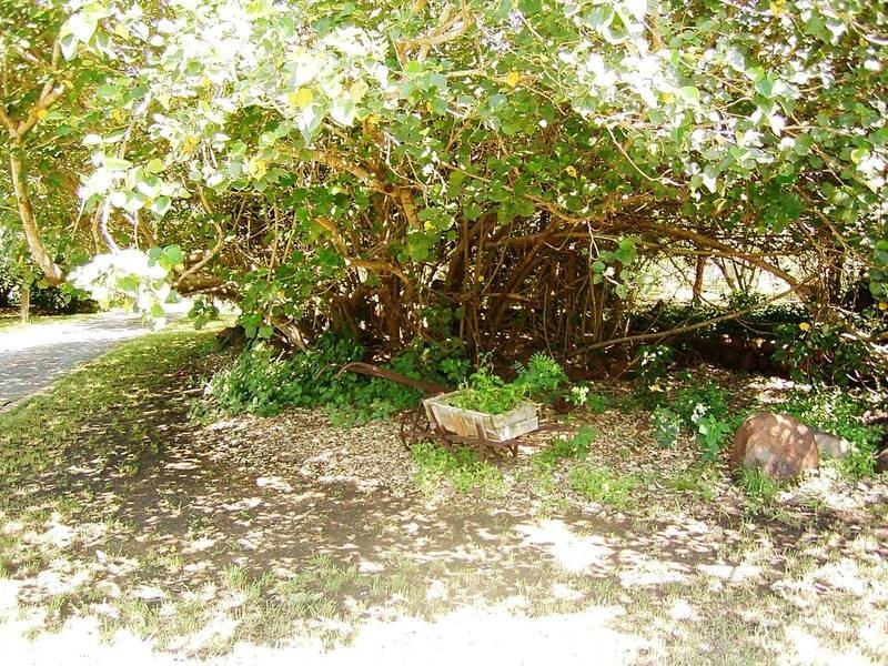 20 Reid Cres, Innes Park QLD 4670