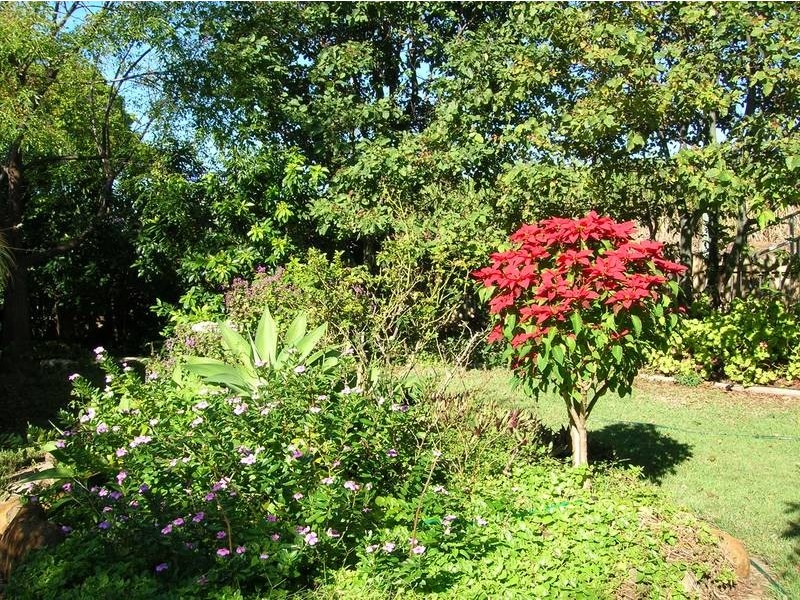 151 Watsons Road, Bargara QLD 4670