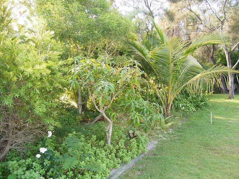 62 Johnson Street, Bargara QLD 4670