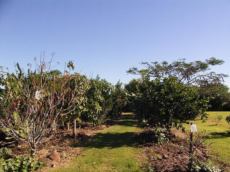 28 Spinnaker Boulevard, Innes Park QLD 4670