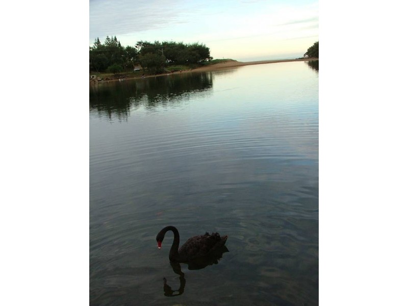 77 Fairway Drive, Bargara QLD 4670