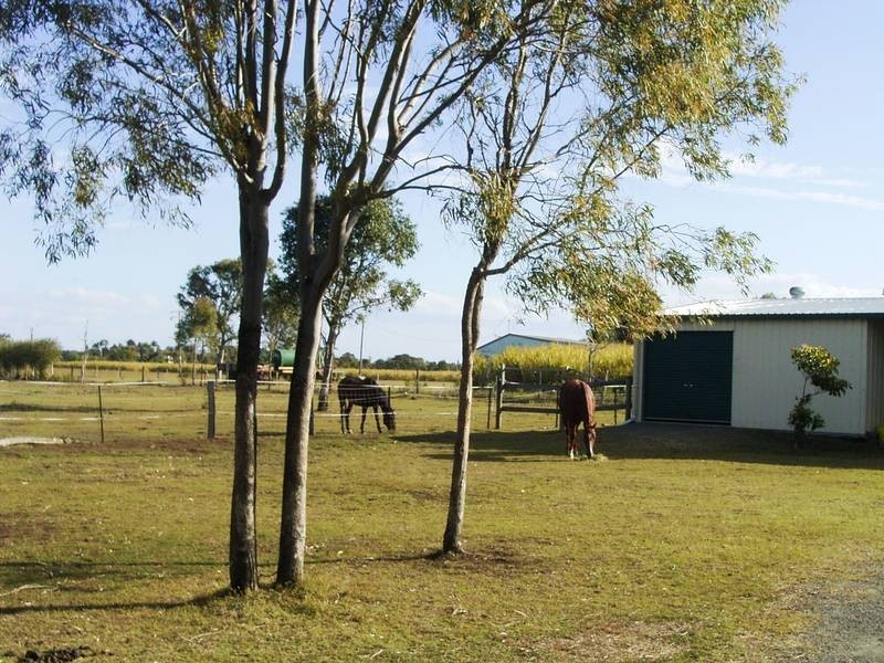 38 Reid Cres, Innes Park QLD 4670