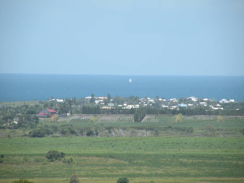 4 Bowden Street (Cnr Grotherr St ), Bargara QLD 4670