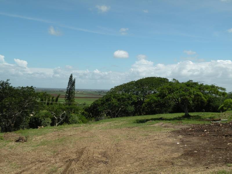 4 Bowden Street (Cnr Grotherr St ), Bargara QLD 4670