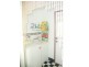17 Grotherr St, Qunaba QLD 4670