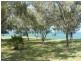 Coral Cove QLD 4670