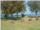 Coral Cove QLD 4670