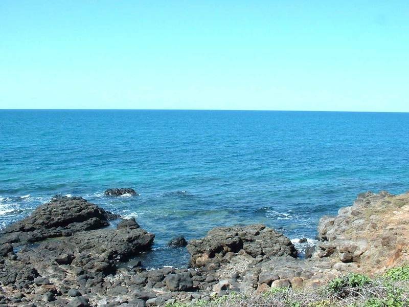 8 Cotton Tree Court, Innes Park QLD 4670