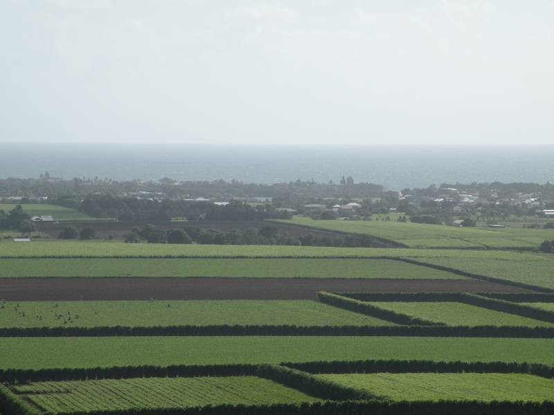 26 Heathwood Crescent, Qunaba QLD 4670