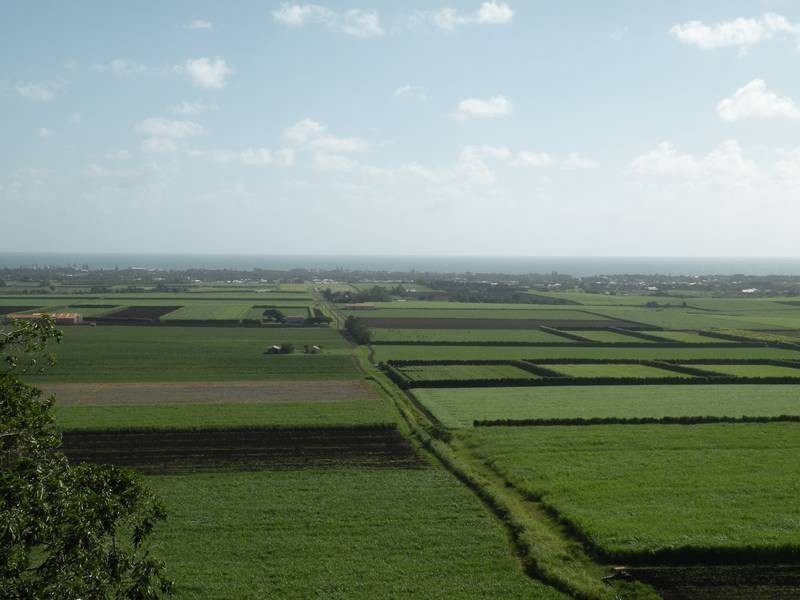 26 Heathwood Crescent, Qunaba QLD 4670